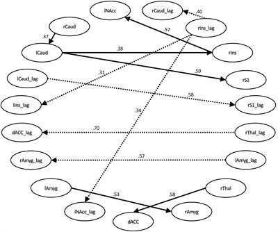 Network Alterations in Comorbid Chronic Pain and Opioid Addiction: An Exploratory Approach